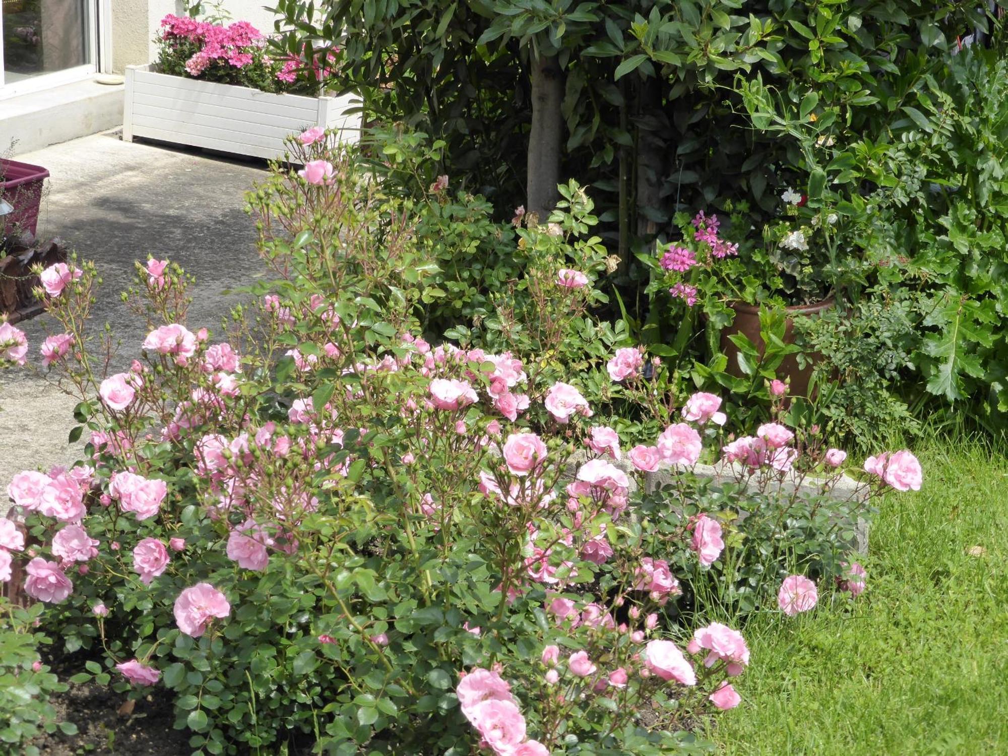 Une Chambre A Neuilly Guest House Екстер'єр фото